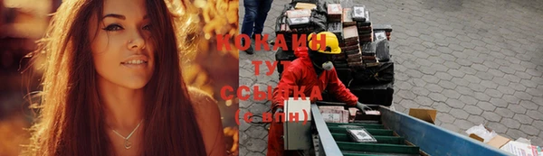 ALPHA PVP Горнозаводск