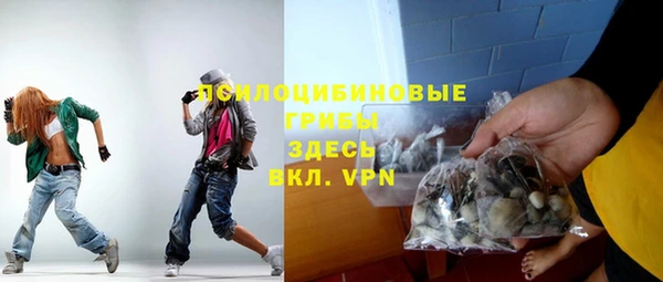 ALPHA PVP Горнозаводск