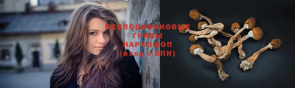 ALPHA PVP Горнозаводск