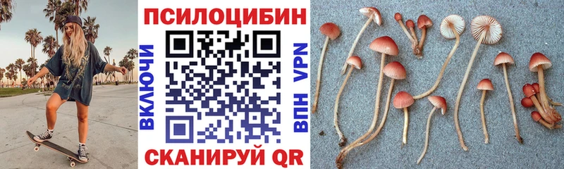 Галлюциногенные грибы Magic Shrooms  Нерчинск 